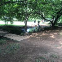 野川公園 わき水広場 - 投稿画像0