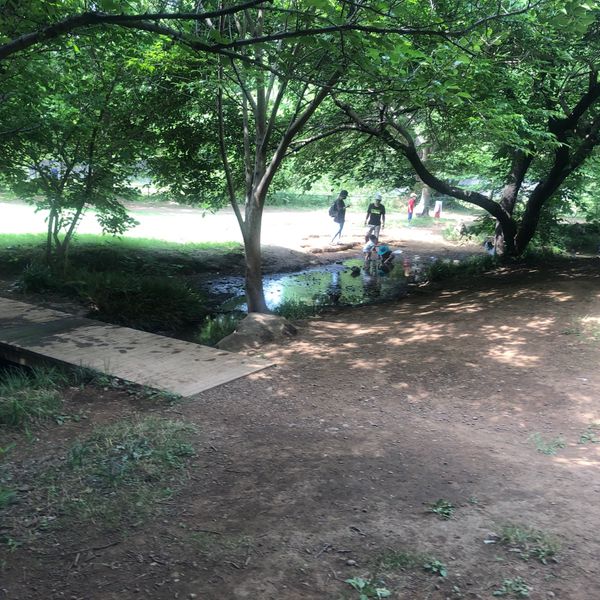 野川公園 わき水広場 - トップ画像