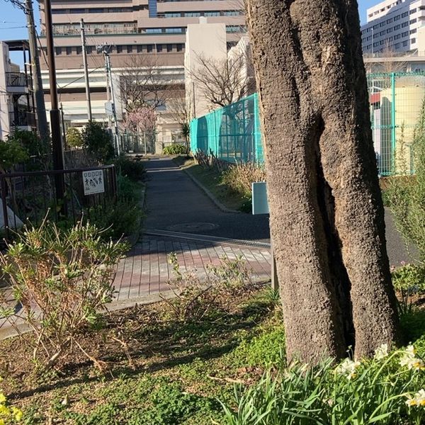 中村公園 - トップ画像