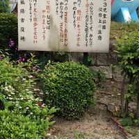深谷第3児童公園 - 投稿画像2