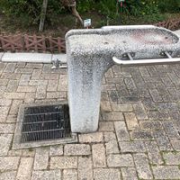 森のみどり公園 - 投稿画像1