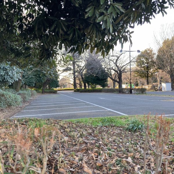 小金井公園 小金井公園第二駐車場 - トップ画像