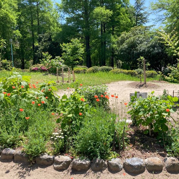 桃山公園 - おすすめ画像