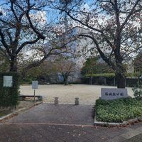 桜城址公園 - 投稿画像0