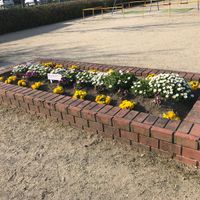 柳川公園 - 投稿画像3
