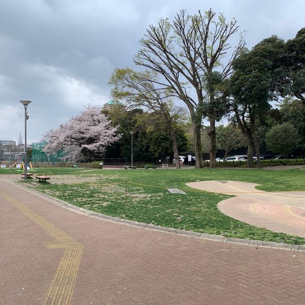 目白台運動公園 - おすすめ画像