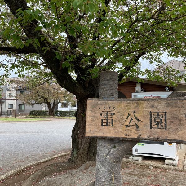 雷公園 - トップ画像