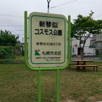 新琴似コスモス公園 - 投稿画像0