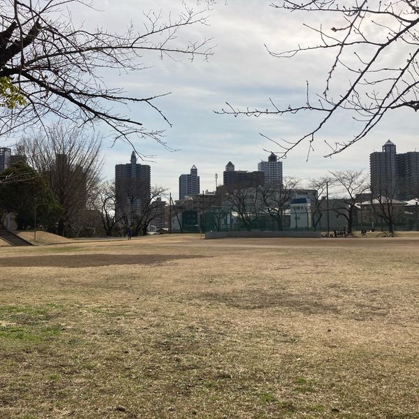 所沢航空記念公園 少年スポーツ広場 - トップ画像
