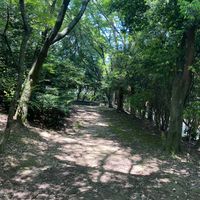 流通西公園 - 投稿画像3