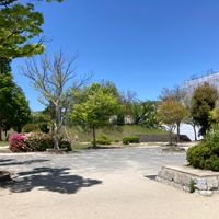 にれのき公園 - 投稿画像3