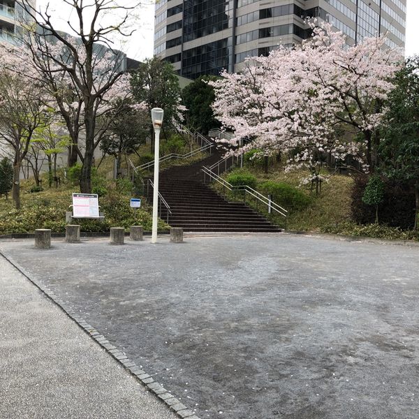 円通寺坂公園 - トップ画像