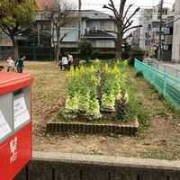 御代開公園 - 投稿画像1