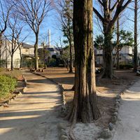 高井戸西公園 - 投稿画像2