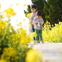 伊良湖菜の花ガーデン - 投稿画像3