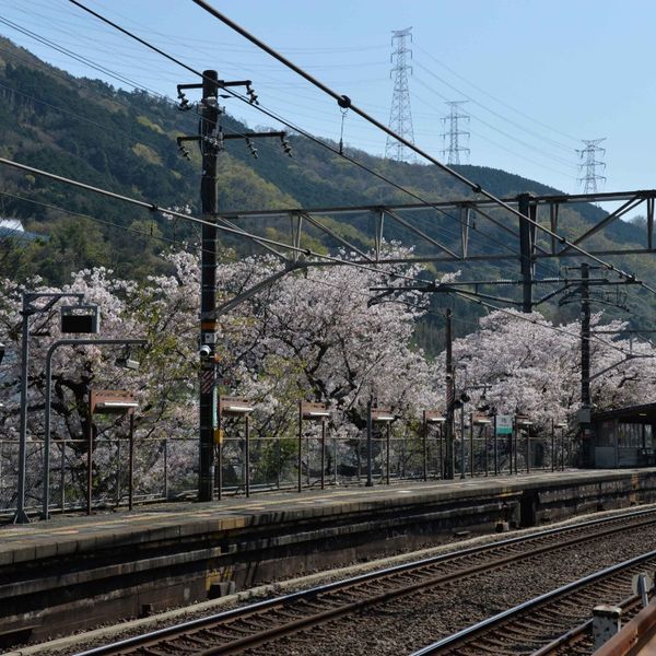 河内堅上駅(JR) - おすすめ画像