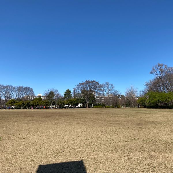 東村山中央公園 中央広場 - トップ画像