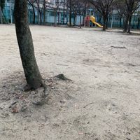 庄本公園 - 投稿画像1