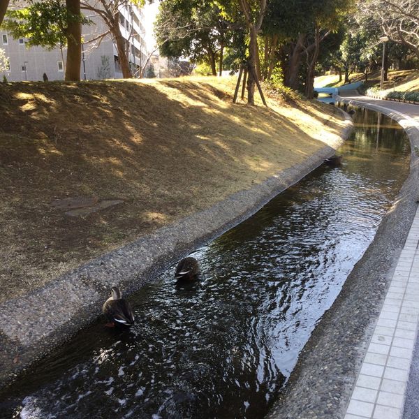 新長島川親水公園 - おすすめ画像