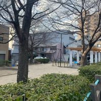 高瀬川正面(菊浜) - 投稿画像3