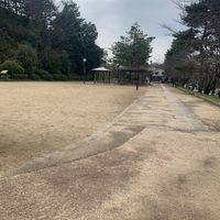 高台寺 - 投稿画像2
