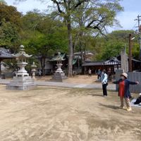 三島神社ラジオ体操＠三島神社 - 投稿画像0