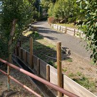 八坂公園 - 投稿画像1