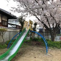 豊中1号公園 - 投稿画像2