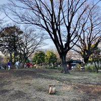 栗山公園 - 投稿画像2