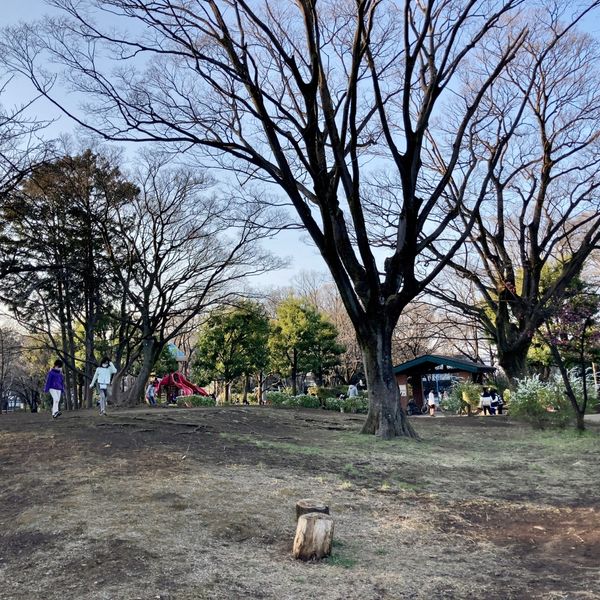 栗山公園 - おすすめ画像