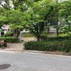 宝生ヶ丘くすのき公園 - トップ画像