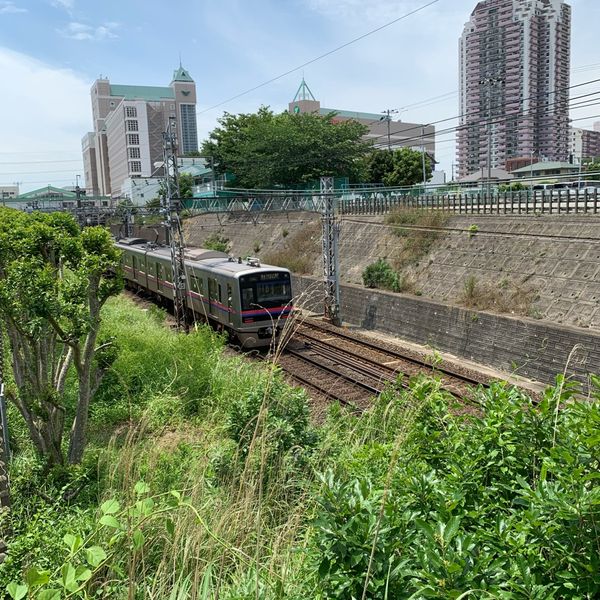 一番原街区公園 - おすすめ画像