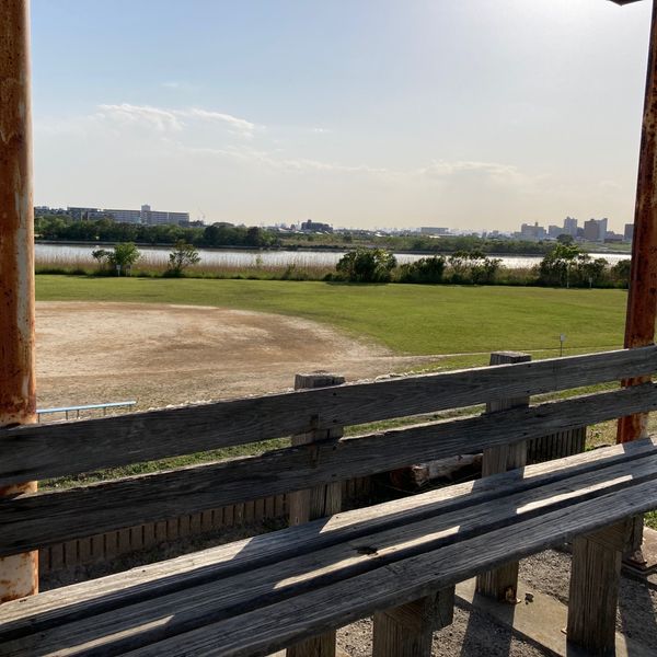 江戸川河川敷緑地 - トップ画像