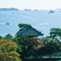 Matsushima (Matsushima-jima-meguri kankō-sen) - 投稿画像2