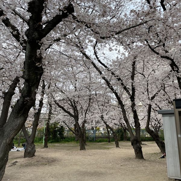 大供第1公園 - トップ画像