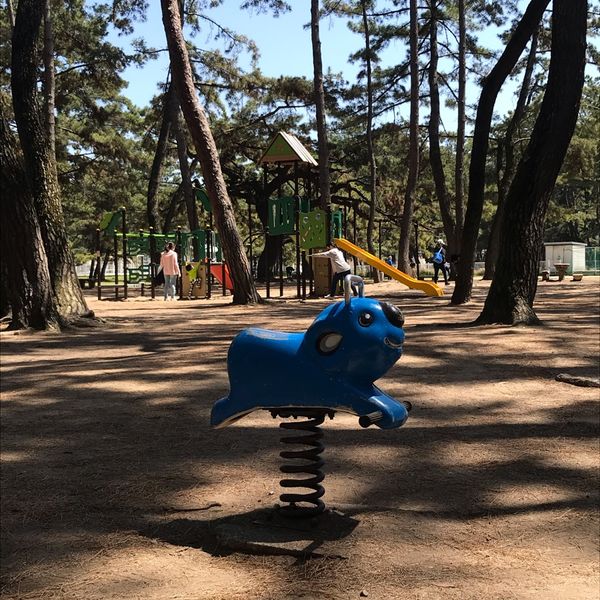 浜の宮公園 - トップ画像