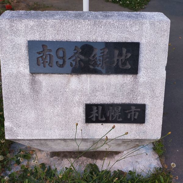 南9条緑地 - おすすめ画像