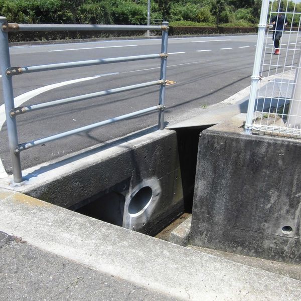 柵の無い歩道 - おすすめ画像