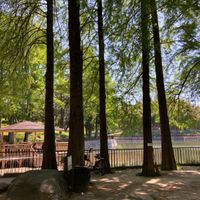 桃山公園 - 投稿画像2