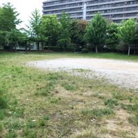 養生（希望の広場） - 投稿画像2