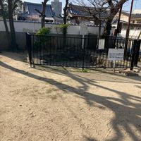 明星池公園 - 投稿画像1