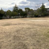 丸山第2号街区公園 - 投稿画像1
