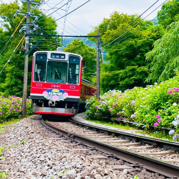 Jalan Ajisai-Shokei - おすすめ画像