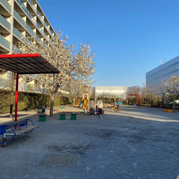 上水本町こぶし公園 - トップ画像