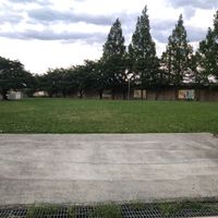 曙公園 - 投稿画像0