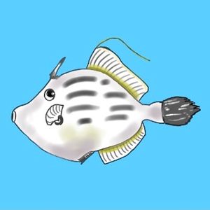 Filefish - プロフィール画像