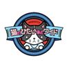 テレビ神奈川「猫のひたいほどワイド」 - プロフィール画像