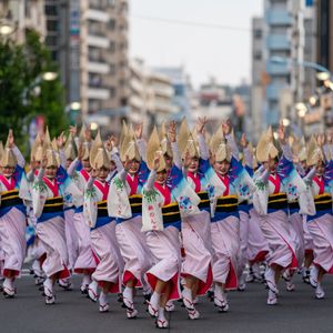 NPO法人東京高円寺阿波おどり振興協会 - プロフィール画像